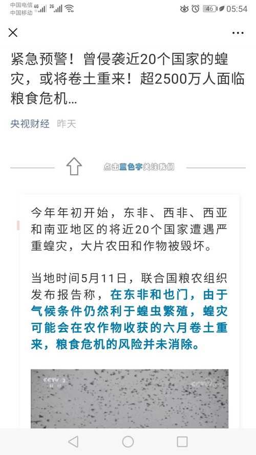 最新蝗虫灾情，如何应对漫天飞舞的危机？
